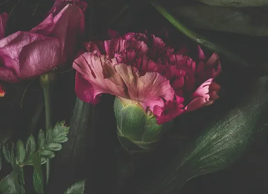 Backsplash option: 581 Décor iconic flowers