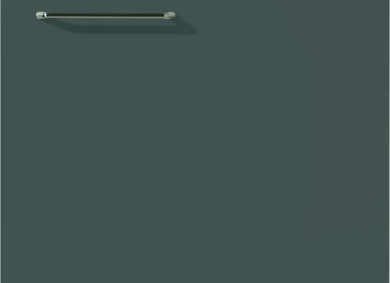 Door front option: 453 Flash