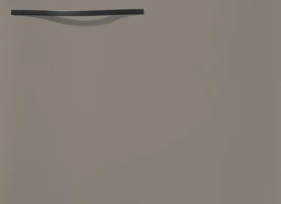 Door front option: 461 Laser