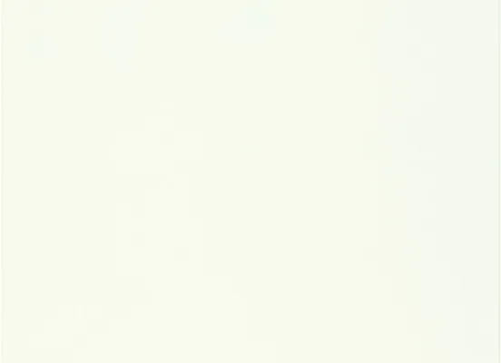 Door front option: 470 Focus