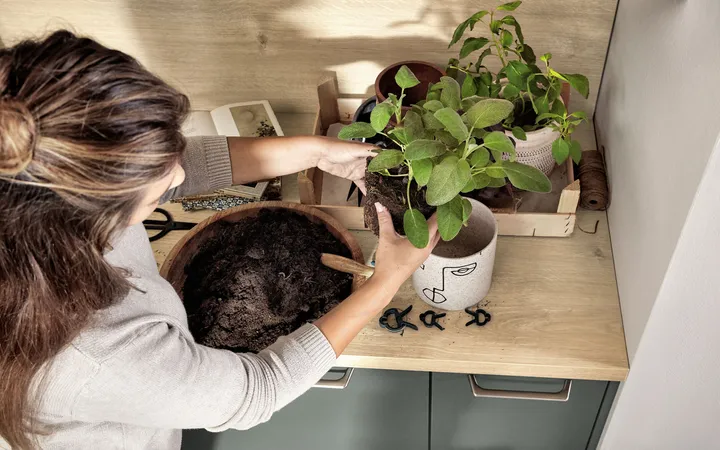 Nobilia North America Easy Touch Mineral Green Ultra Matt 2